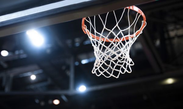 Cost of Basketball Net Installation in Palatine