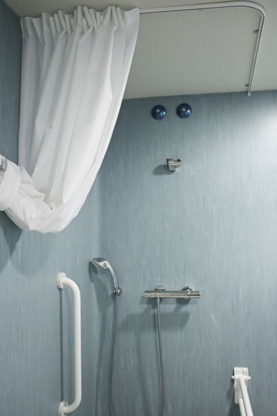 Cost of Shower Rail Installation in Palatine