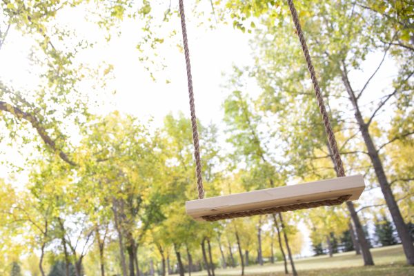 Cost of Tree Swing Installation in Palatine