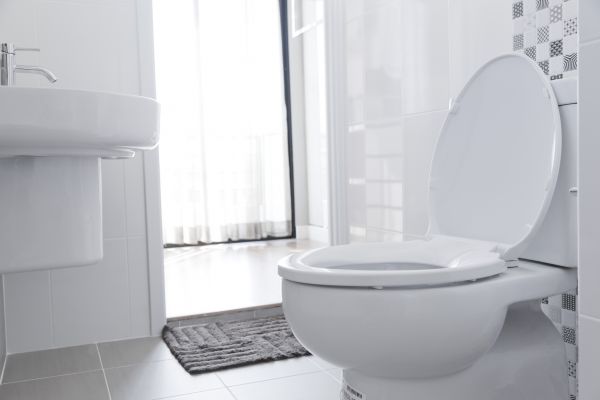 Cost of Toilet Seat Installation in Palatine