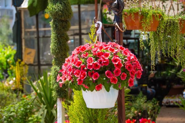 Cost of Hanging Planter Installation in Palatine