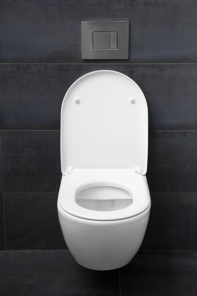 Cost of Toilet Lid Installation in Palatine