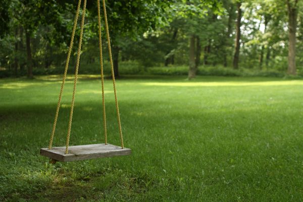 Cost of Rope Swing Installation in Palatine