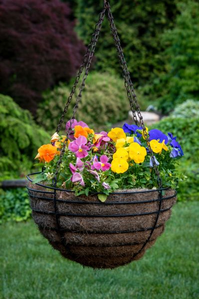 Cost of Hanging Basket Installation in Palatine