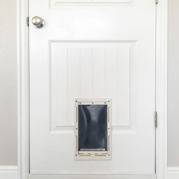 Cost of Pet Door Repair in Palatine