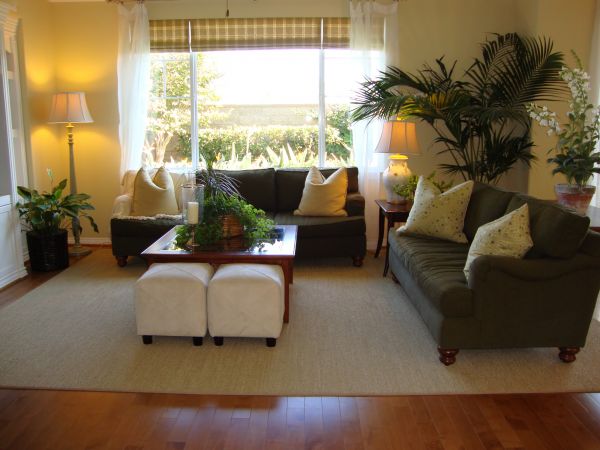 Cost of Valance Rod Installation in Palatine