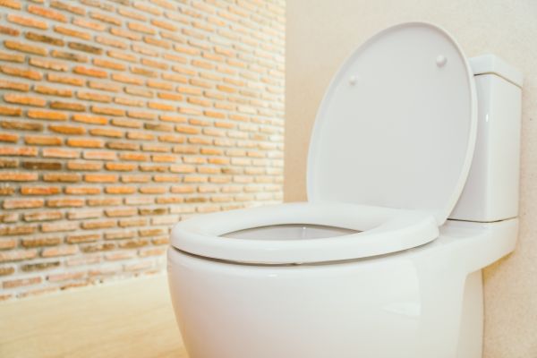 Cost of Toilet Seat Repair in Palatine