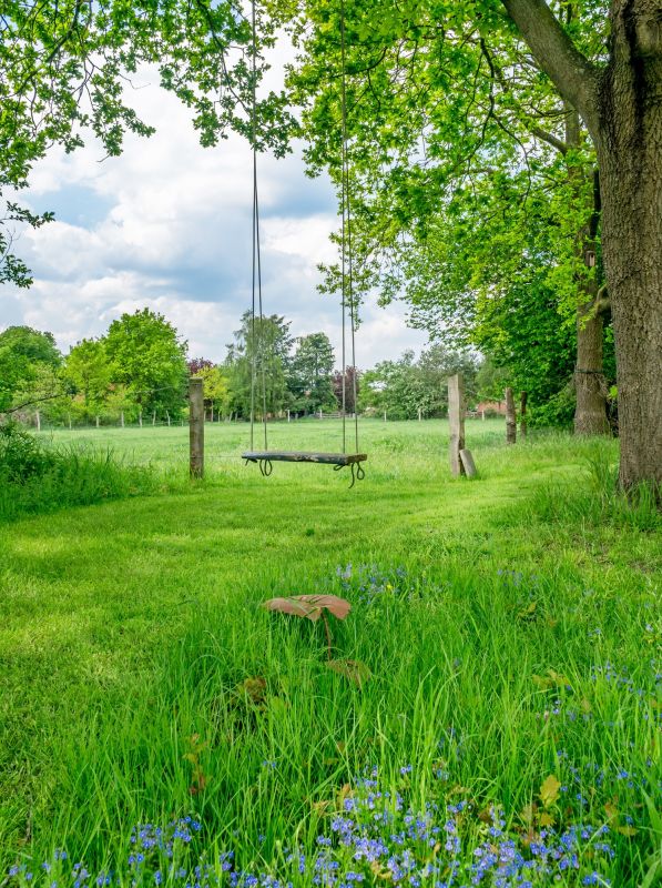 Rope Swing Installation